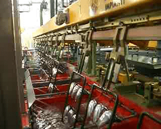 Metalchimica Impianti Sistema de bastidores verticales de galvanoplastia, usado IA2514